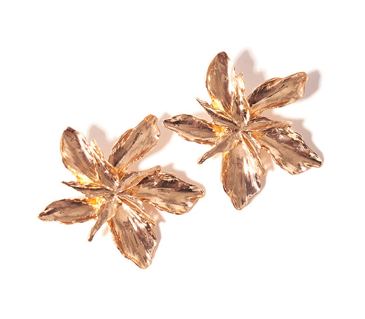 Stud Earrings