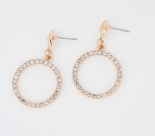 Hoop Earrings