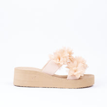 Load image into Gallery viewer, Wedge Slider
