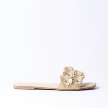 Load image into Gallery viewer, Slider
