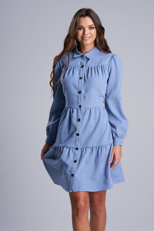 Long Sleeve Mini Dress