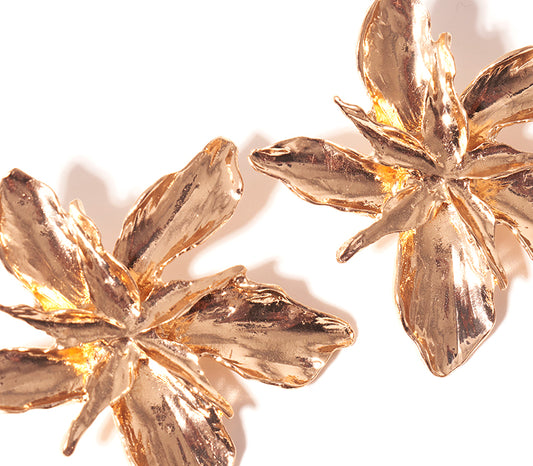 Stud Earrings